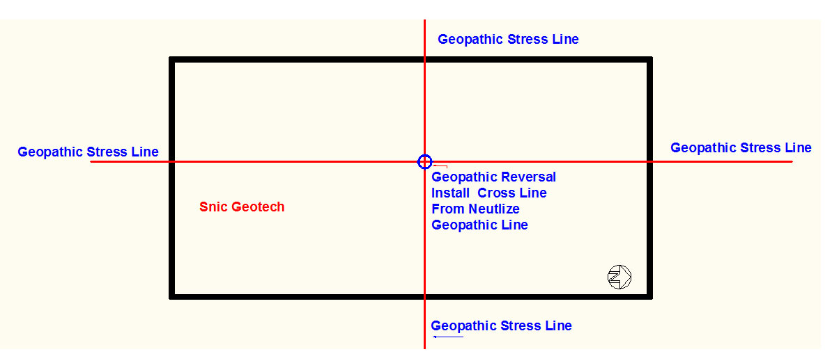 Geopathic Stress Neutralizer manufacturers exporters in india punjab ludhiana